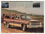 1982 Chevy Trucks-03